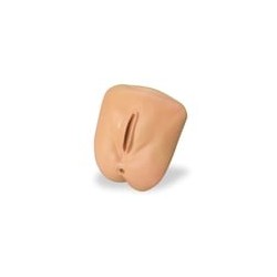 Life-form Replacement Female Genitalia for GERi-KERi Nursing Skills Manikin