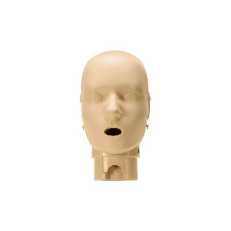 Head Assembly for the PRESTAN Professional Child Manikin Medium Skin Tone