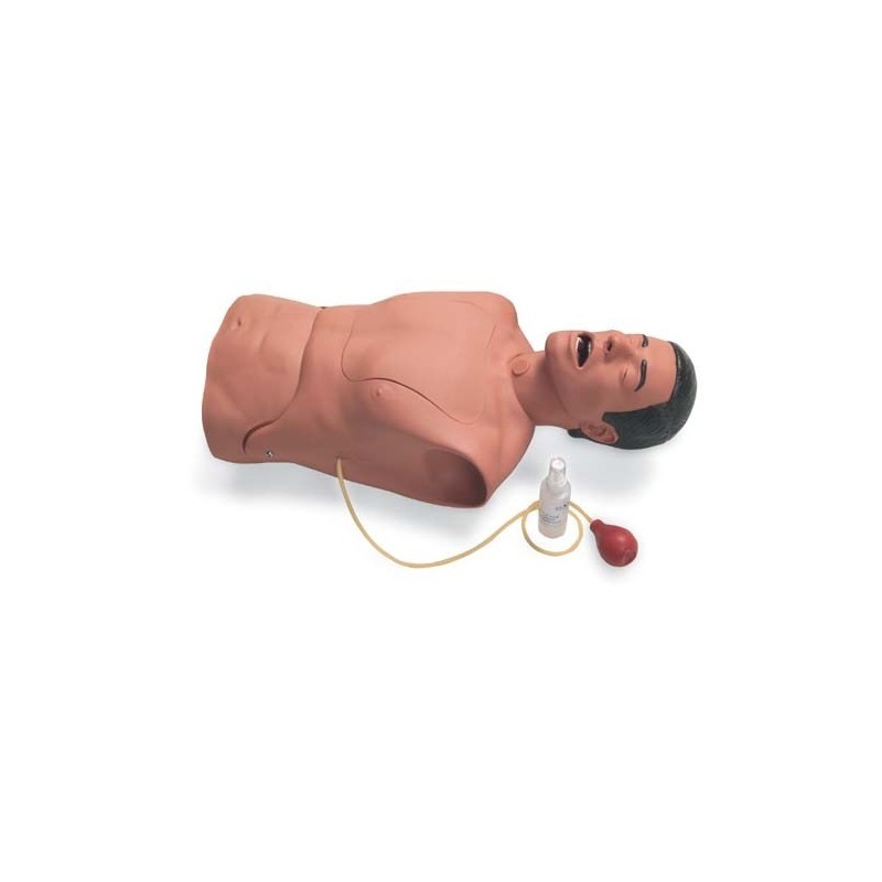 Laerdal Trainer NG Tube and Trach Care Simulator