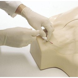 Laerdal Trainer IV Torso