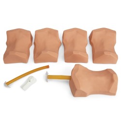 Simulaids Deluxe Cricothyrotomy Trainer