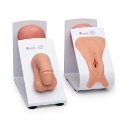 Simulaids Male & Female Catheterization Trainer Set