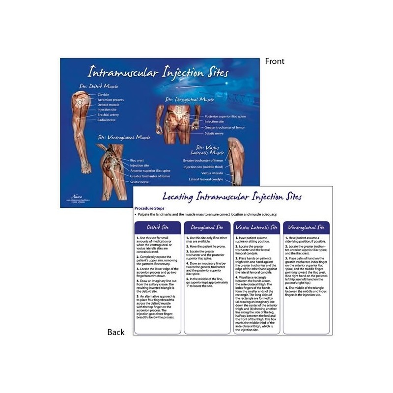 Life-form Intramuscular Injection Sites Chart