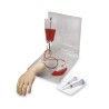 Life-form Portable IV Hand Medium Skin Tone