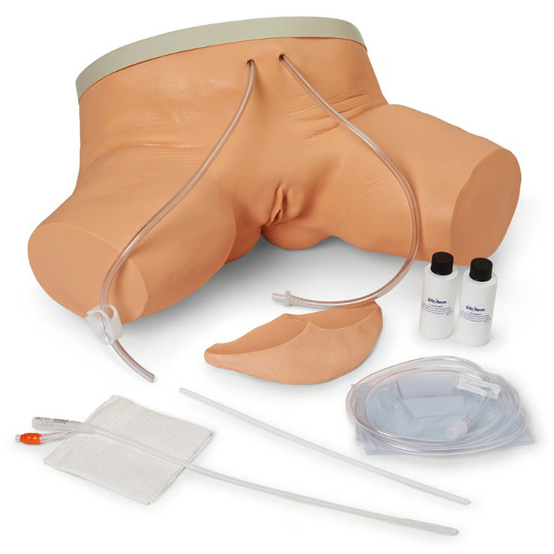 Life-form Female Catheterization Simulators