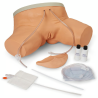 Life-form Female Catheterization Simulators