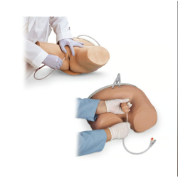 Life-form Male & Female Catheterization Simulators