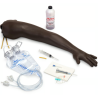 Life-form Adult Venipuncture and Injection Training Arm - Dark