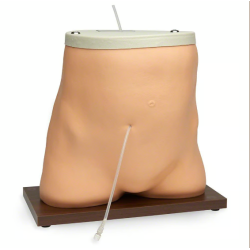 Life-form Peritoneal Dialysis Simulator