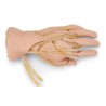 Life-form Advanced IV Hand Replacement Veins & Skin