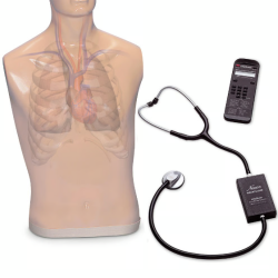 Life-Form Auscultation Trainer and SmartScope