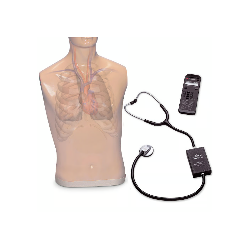 Life-Form Auscultation Trainer and SmartScope