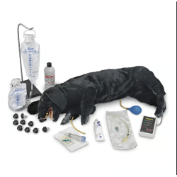 Life-form Advanced Sanitary CPR Dog Manikin