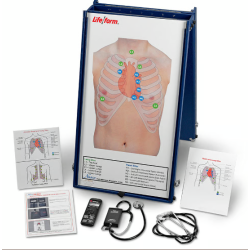 Life-form Anterior Auscultation Practice Board with Case