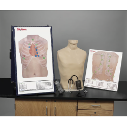 Life-form Deluxe Auscultation Training Station