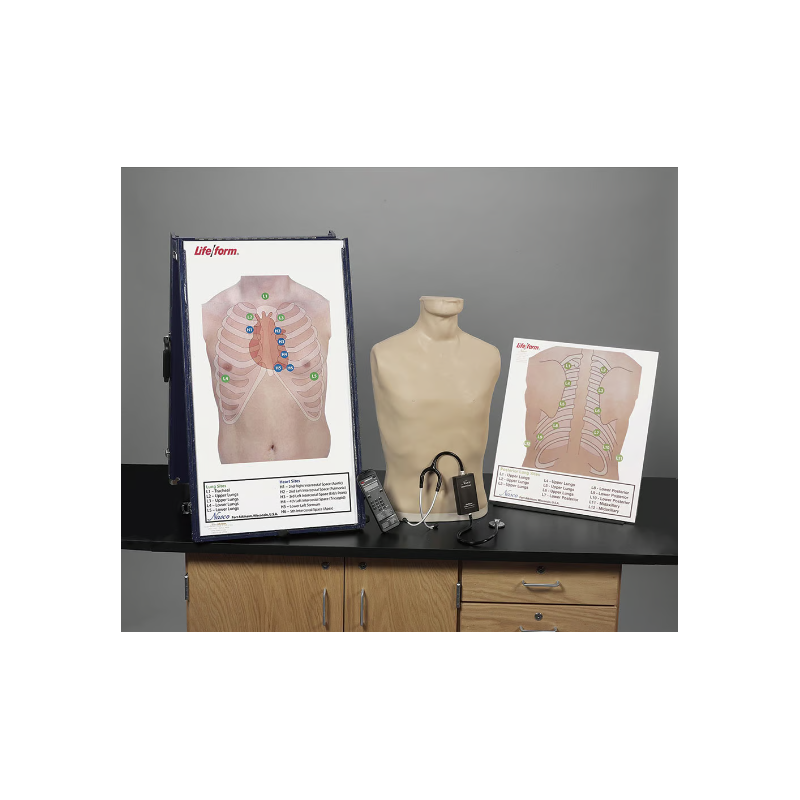 Life-form Deluxe Auscultation Training Station