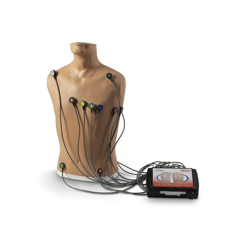 Life-form 15-Lead ECG Placement Trainer