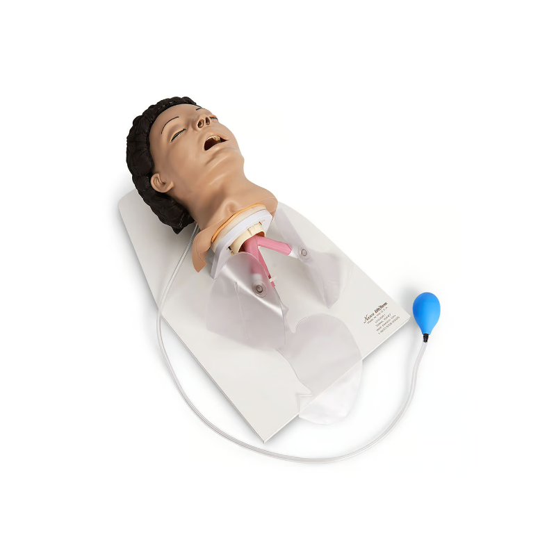 Life-form Adult Airway Management Trainer w-Stand & Case