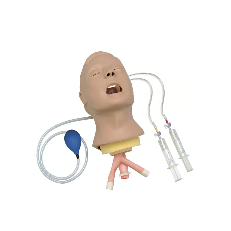 Life-form Advanced Airway Larry Adult Airway Management Trainer Head