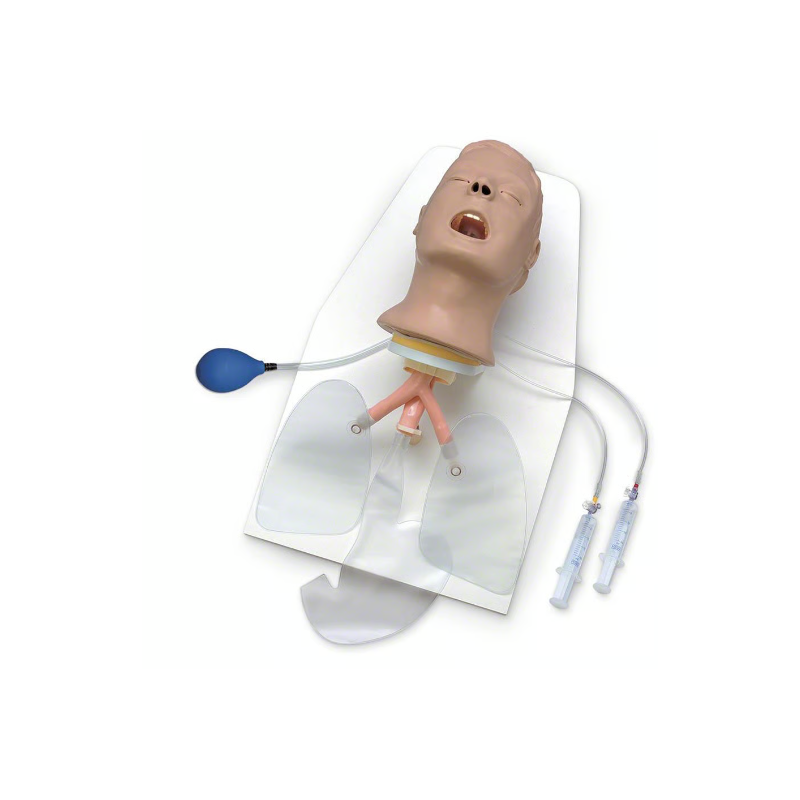 Life-form Advanced Airway Larry AMT Head w-stand & Case