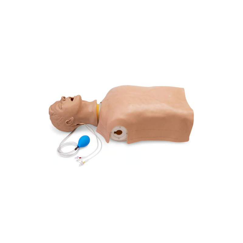 Life-form Advanced Airway Larry AMT Torso