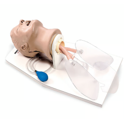 Life-form Airway Larry AMT w-Stand