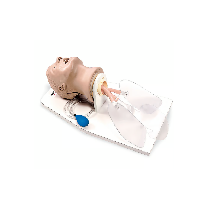 Life-form Airway Larry AMT w-Stand