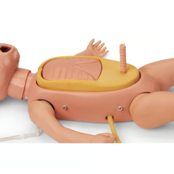 Life-form Infant ECG CRiSis Manikin