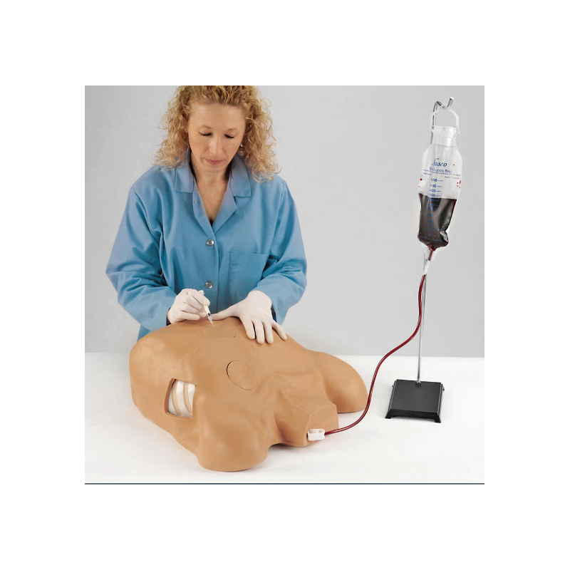 Life-form Pericardiocentesis Simulator