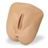 Life-form Replacement Female Genitalia for GERi-KERi Complete, Advanced, and Auscultation Manikins