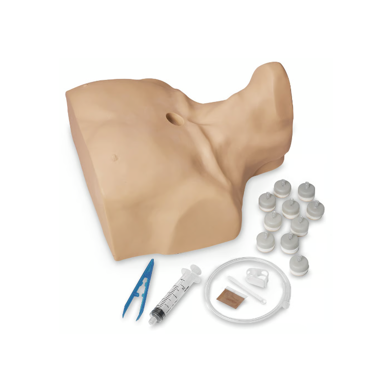 Life-form Adult Sternal Intraosseous Infusion Simulator