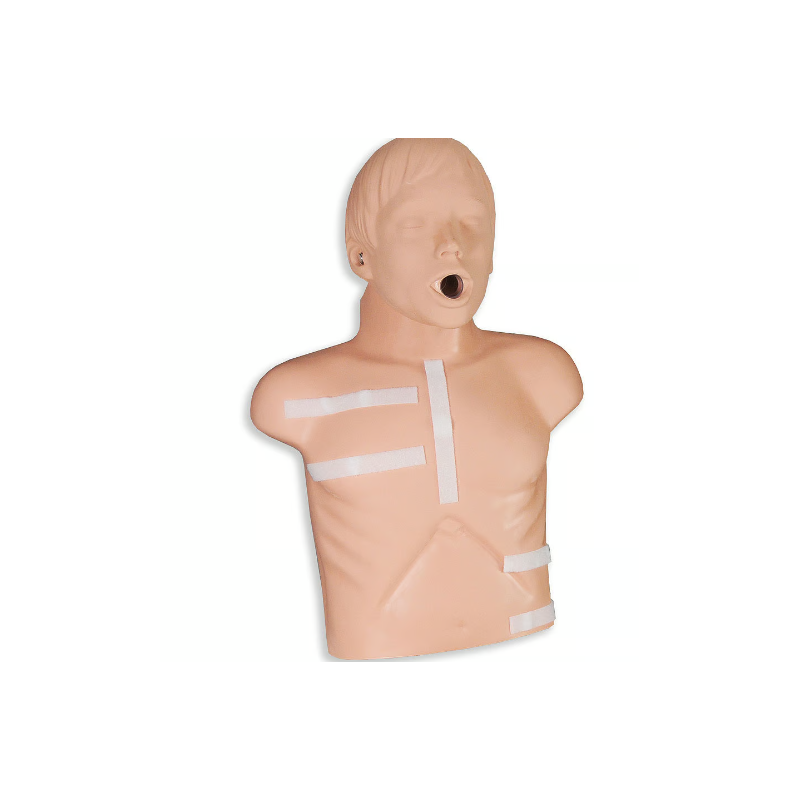 ZOLL AED Plus Demo Manikin