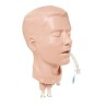 Adult Pda Deluxe Airway Head