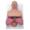 Simulaids Adult Airway Management Trainer