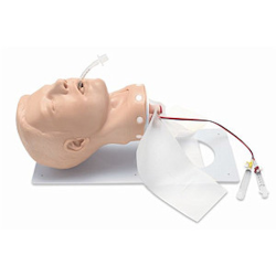 Simulaids Adult Deluxe Airway Management Trainer