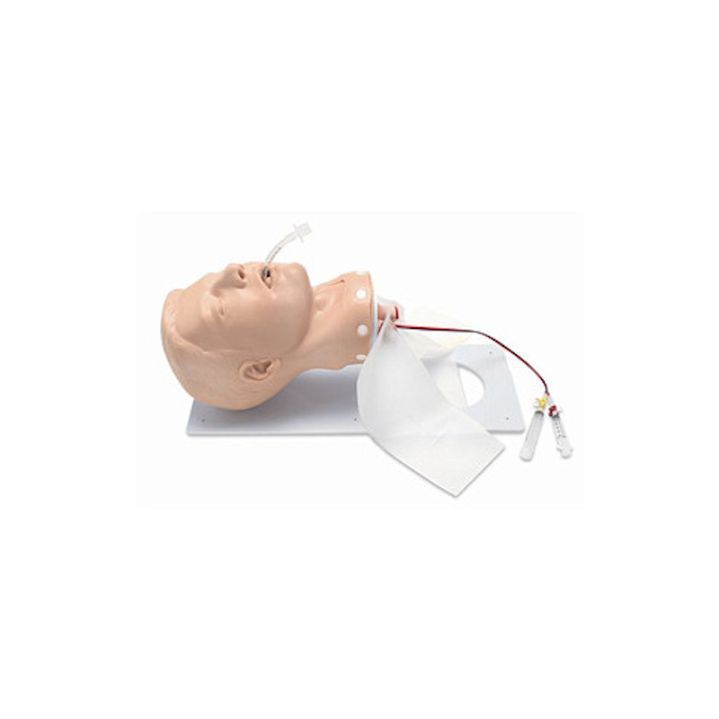 Simulaids Adult Deluxe Airway Management Trainer