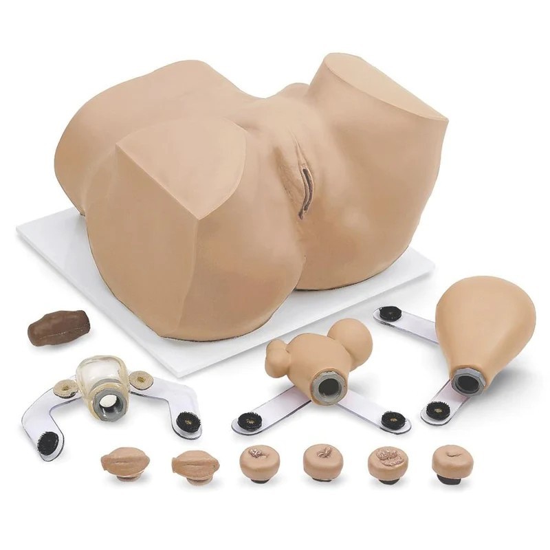 Simulaids Gynecological EVA Manikin