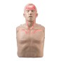 Brayden CPR LED Manikin 4 Pack with Trolley